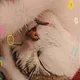 Mel Munzur profile