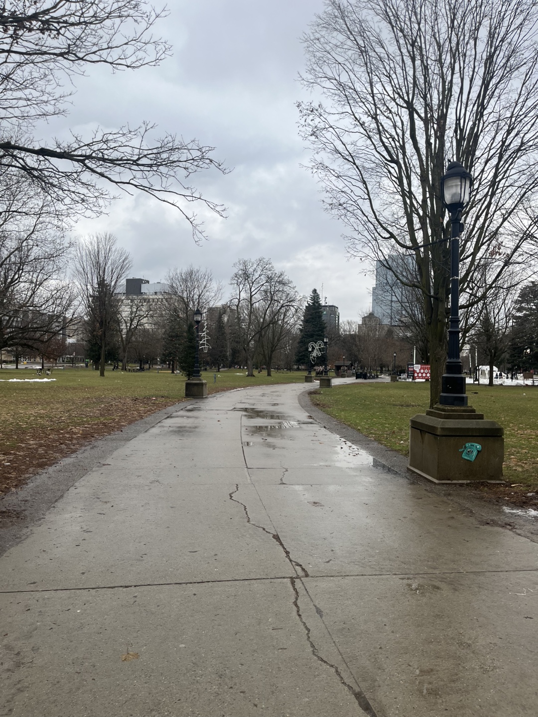 Miria zaneti profile