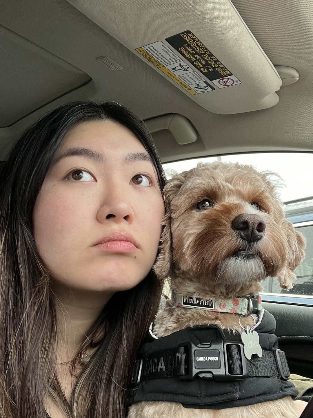 Winny profile