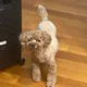 Jerry profile