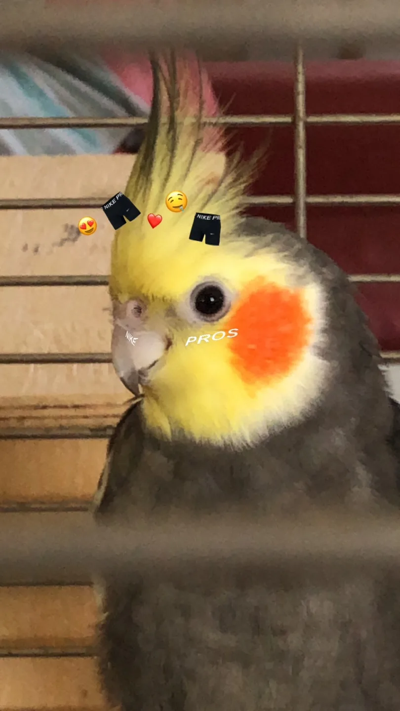 Abood hassan profile