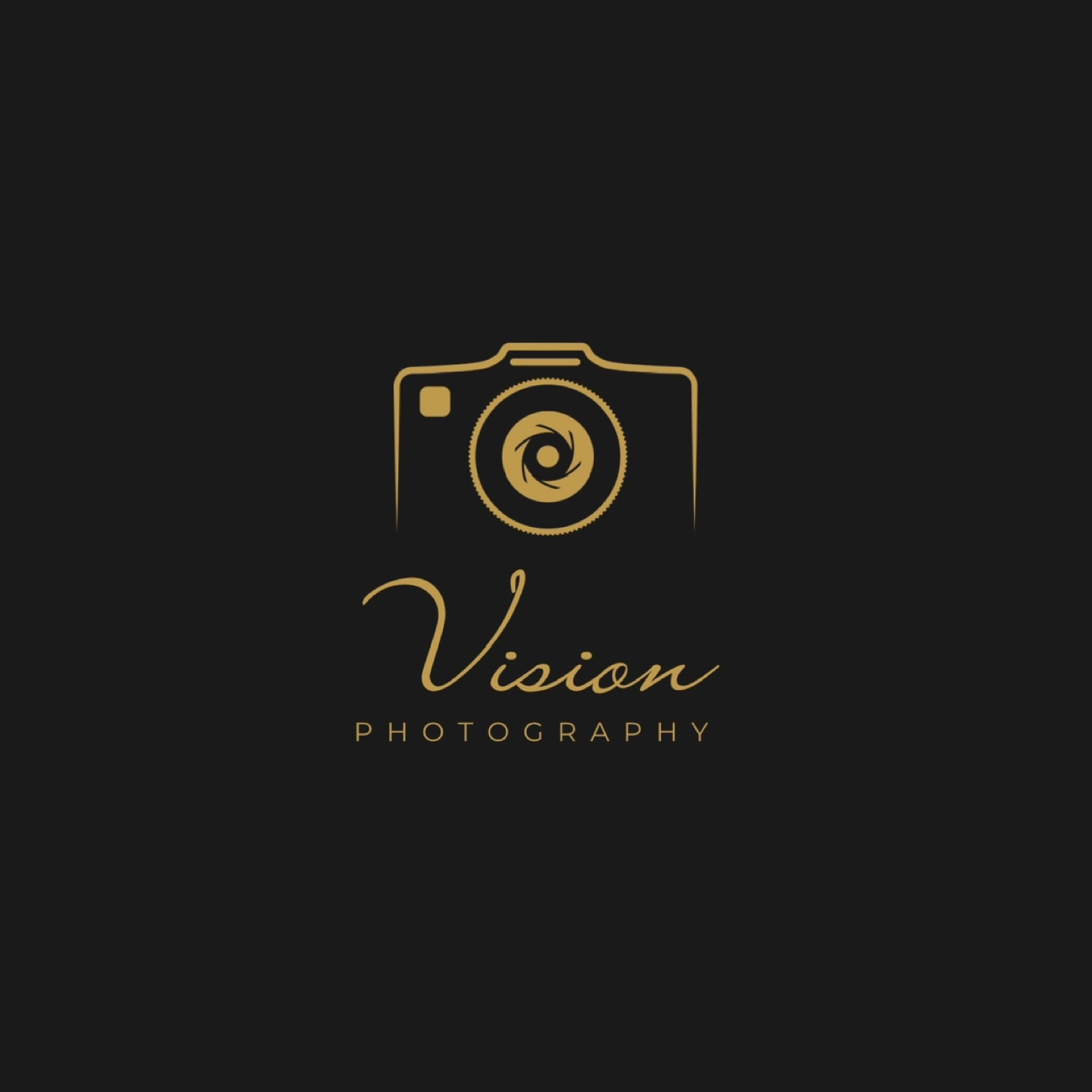 Vision Photography profile