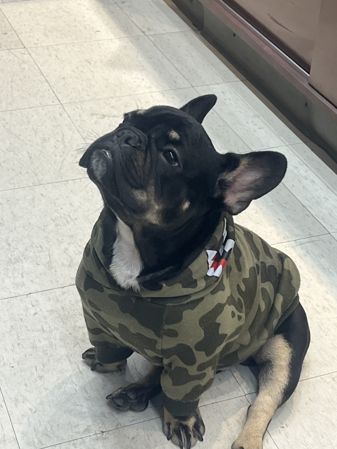 Ivan profile