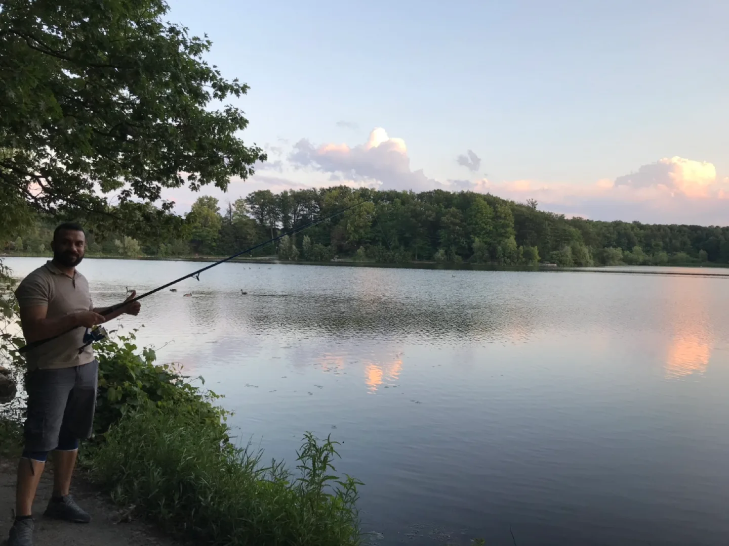 Gazelle Ranam profile