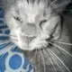 Orhan s profile