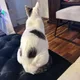 Princess profile