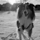kkumi profile