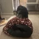 Landon profile
