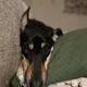 Mayla profile