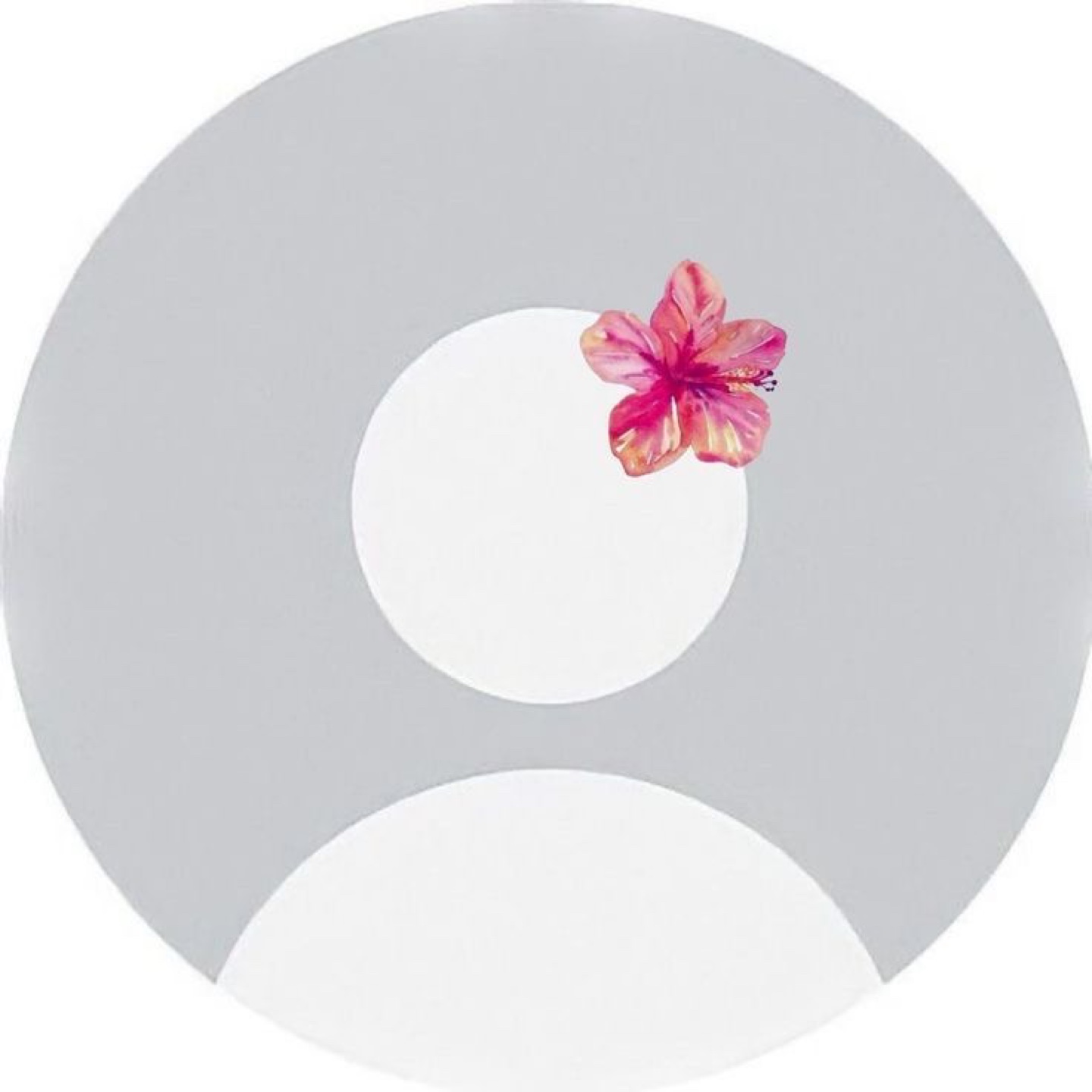 gabriella profile