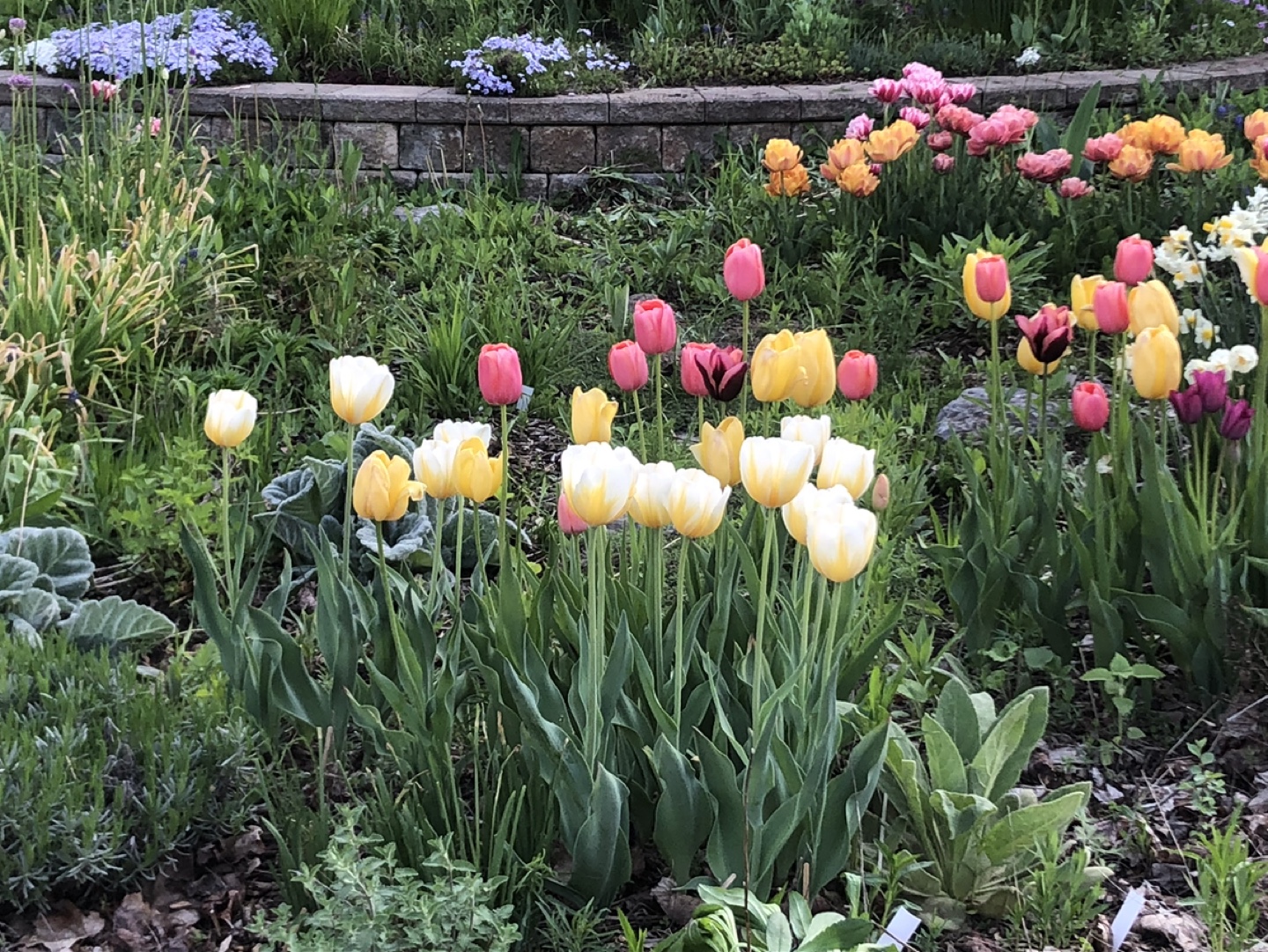 Art Crafts Vintages profile