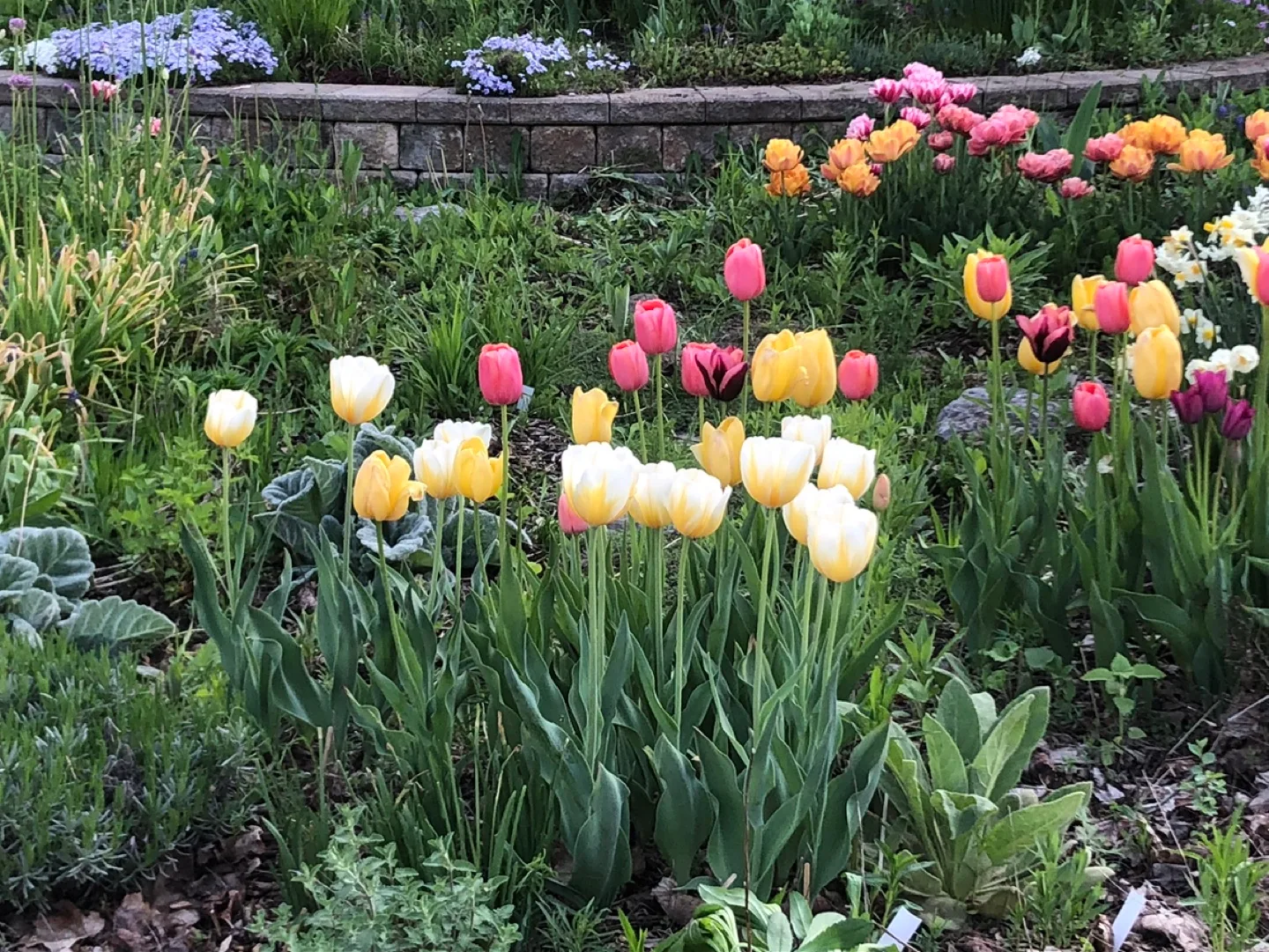 Art Crafts Vintages profile