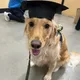 Greg S profile