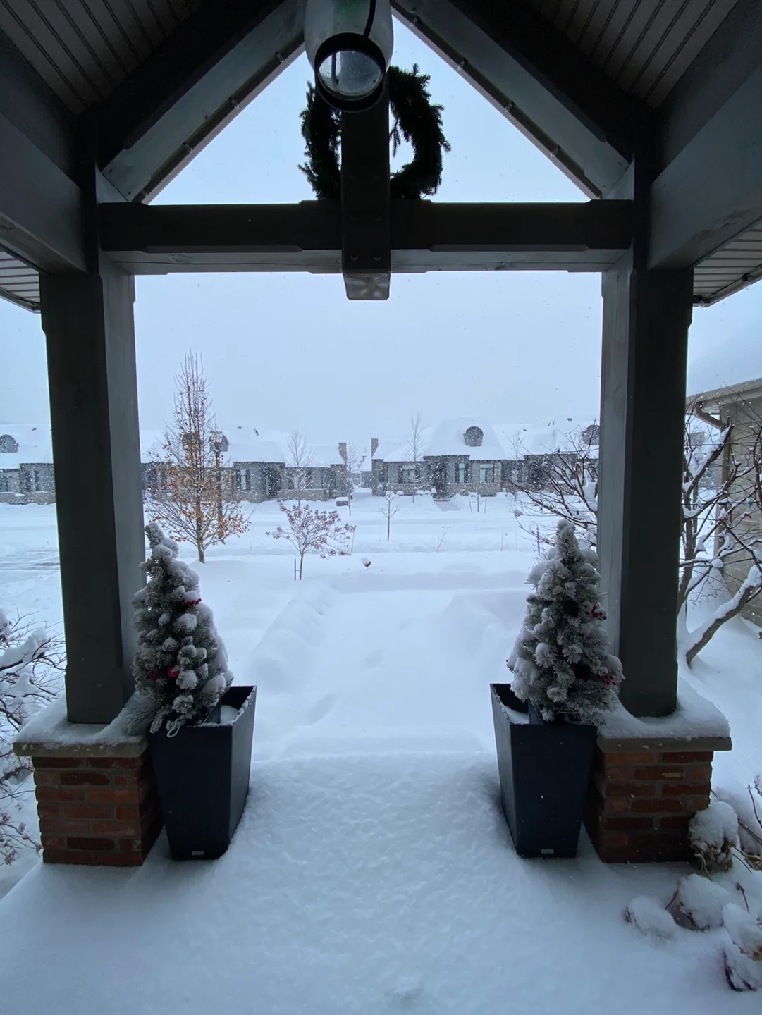 Debbie Sadowski profile