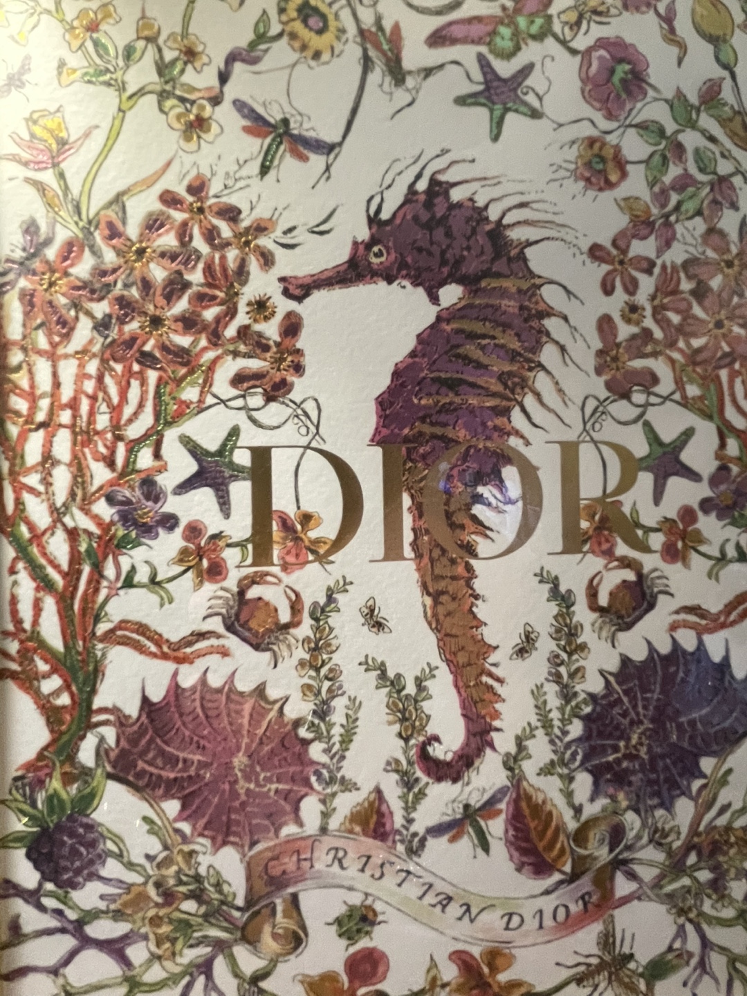 Whimsical Phoenix profile