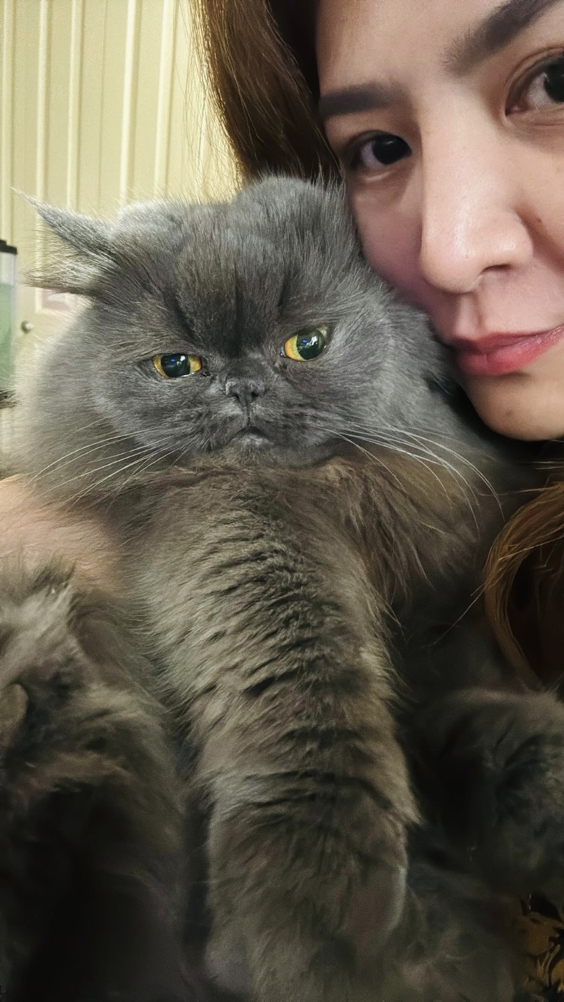 Vhian profile