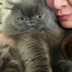 Vhian profile