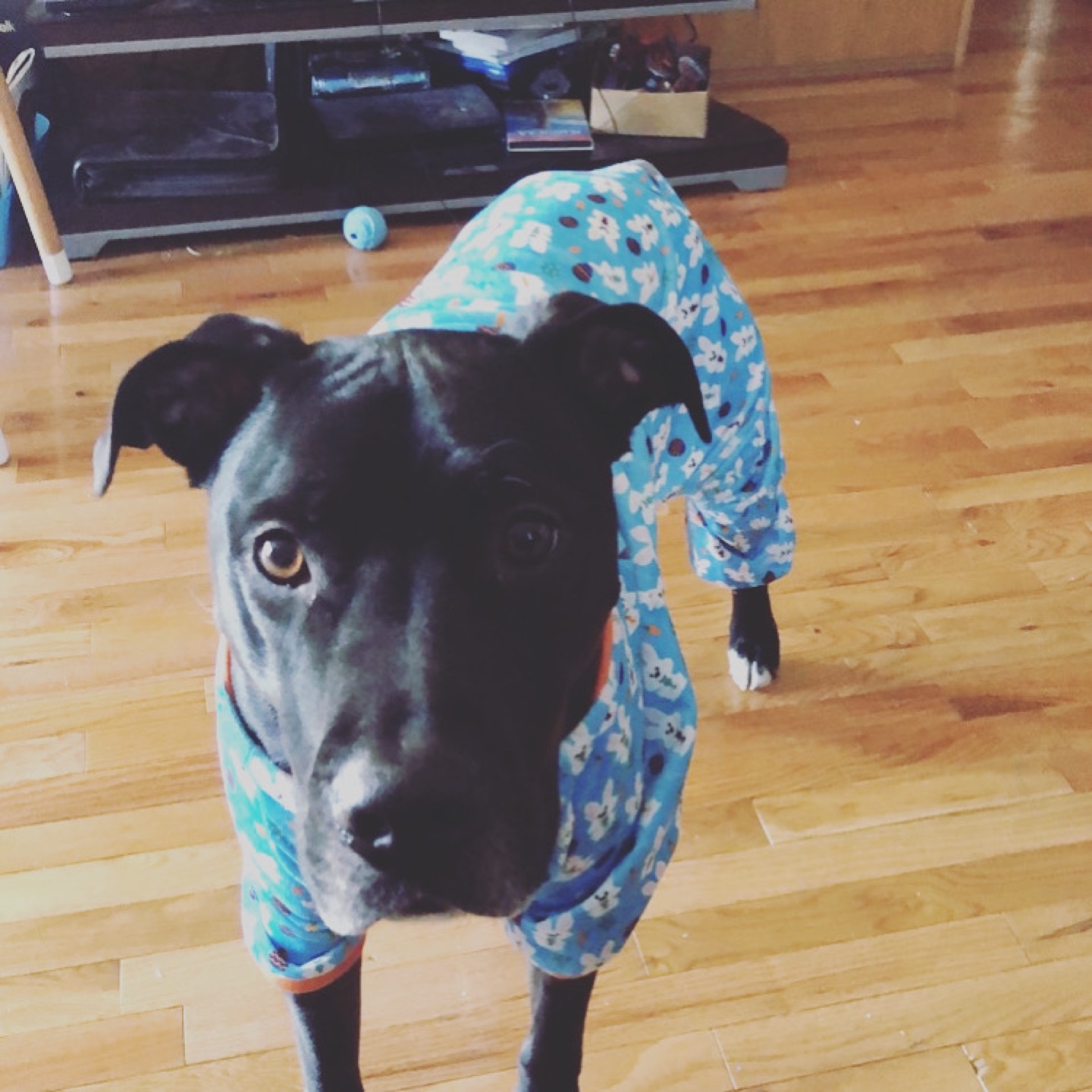 Jordan murray profile