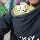 Hasan Mohammad profile