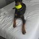 Kevin profile
