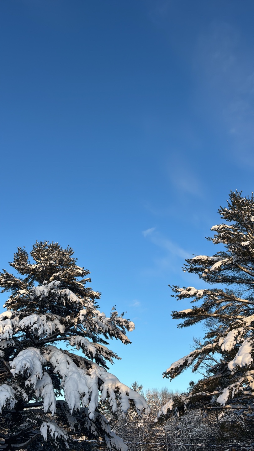 Jordan profile