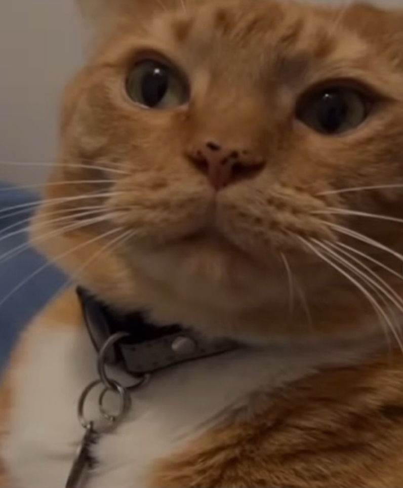 Ibrahim Noor profile