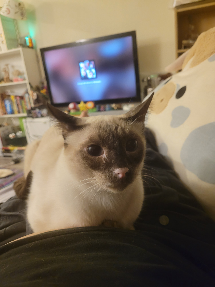 Delilah profile