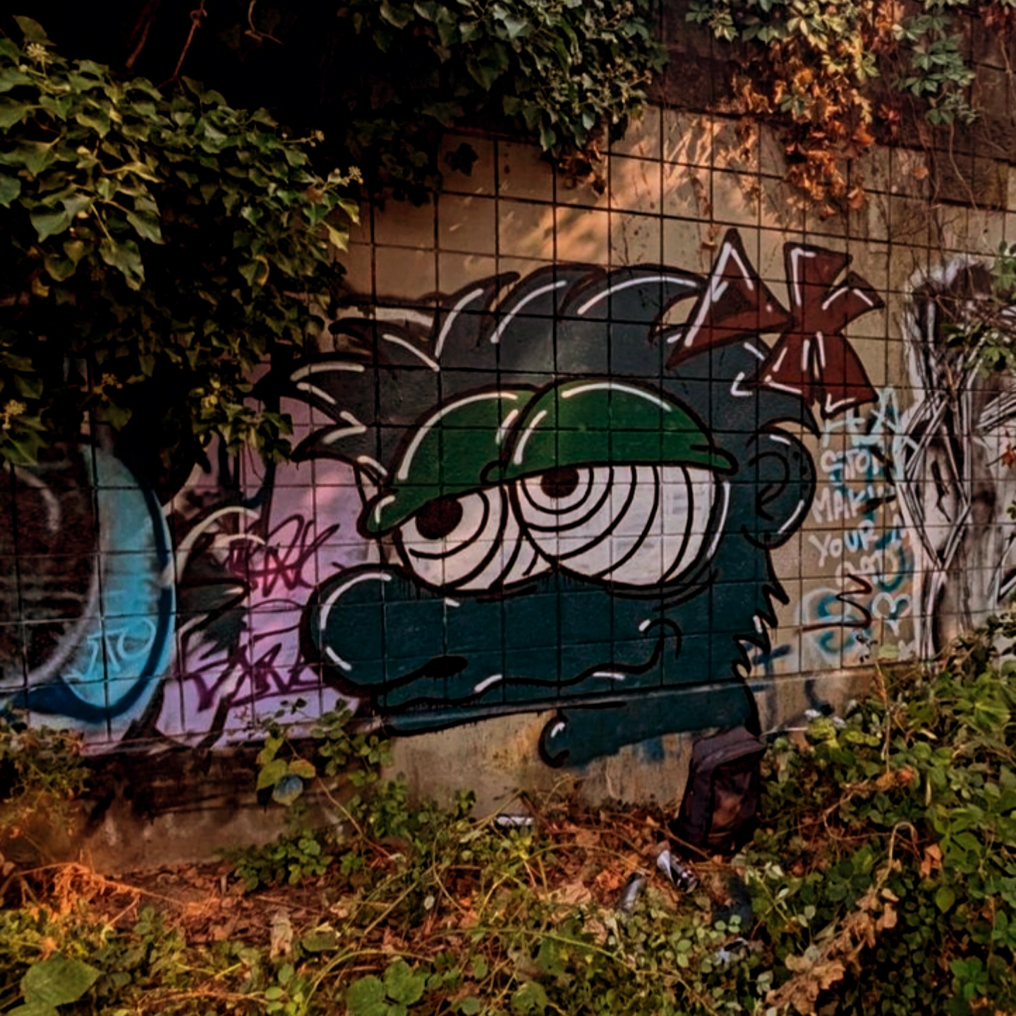 FrezzerFern