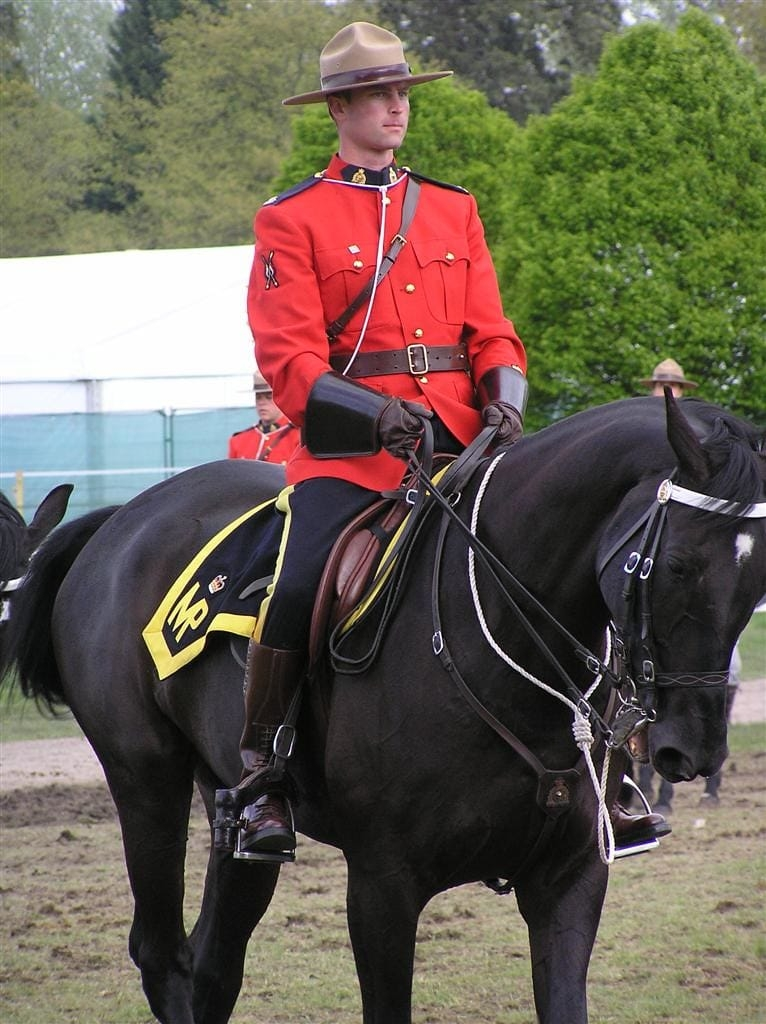 raja profile