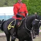 raja profile