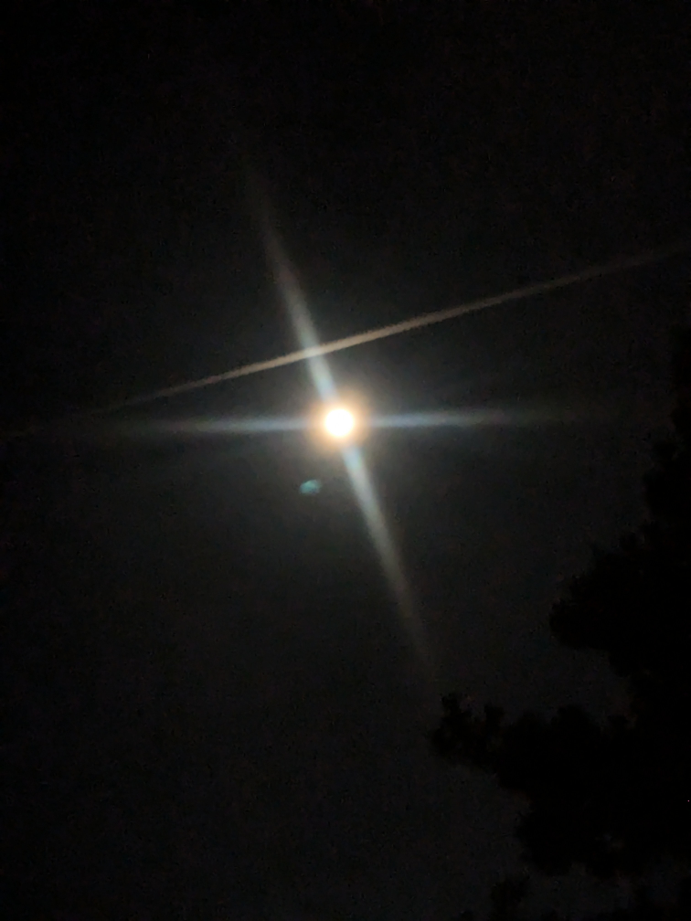 Safia Tasnim profile