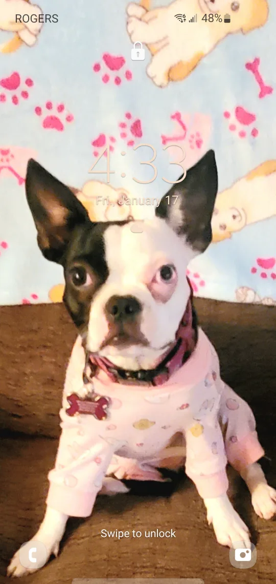 Adriana Thompson profile