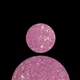 estrela profile