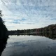 Austin profile