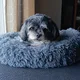 Jada profile