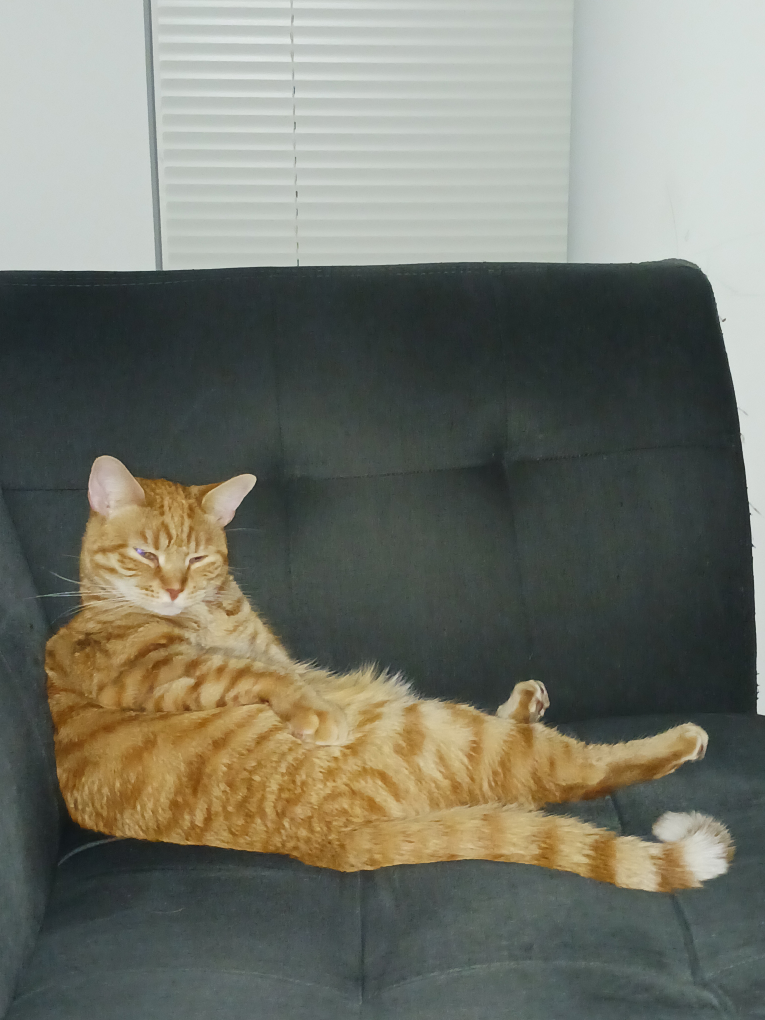 Charles profile