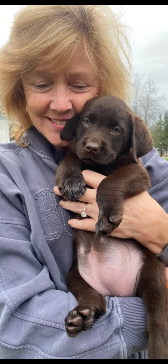 Suzanne Zinn profile