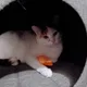 Wick profile