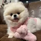 Lilyy profile