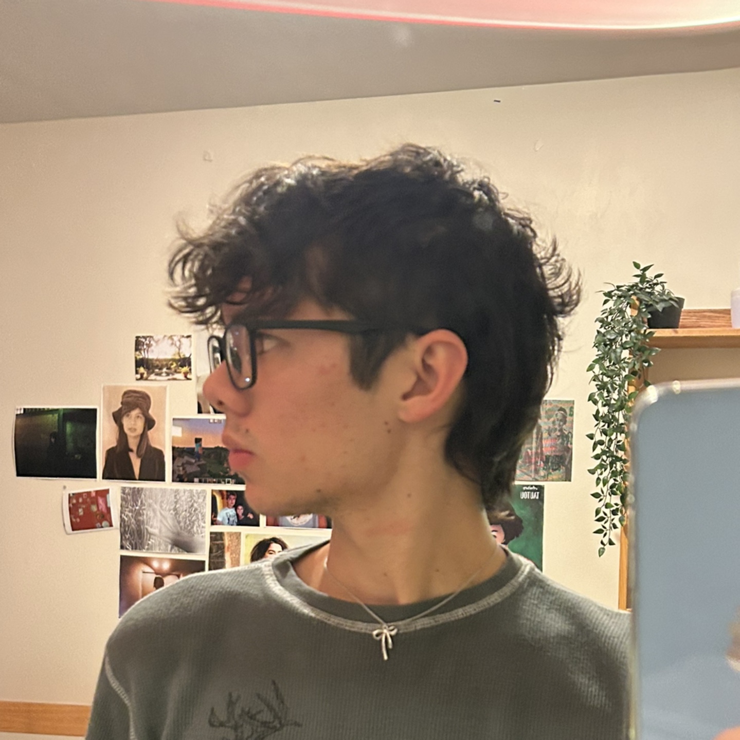 connor profile