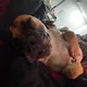 Ikobob profile