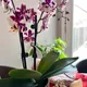 Bhi profile