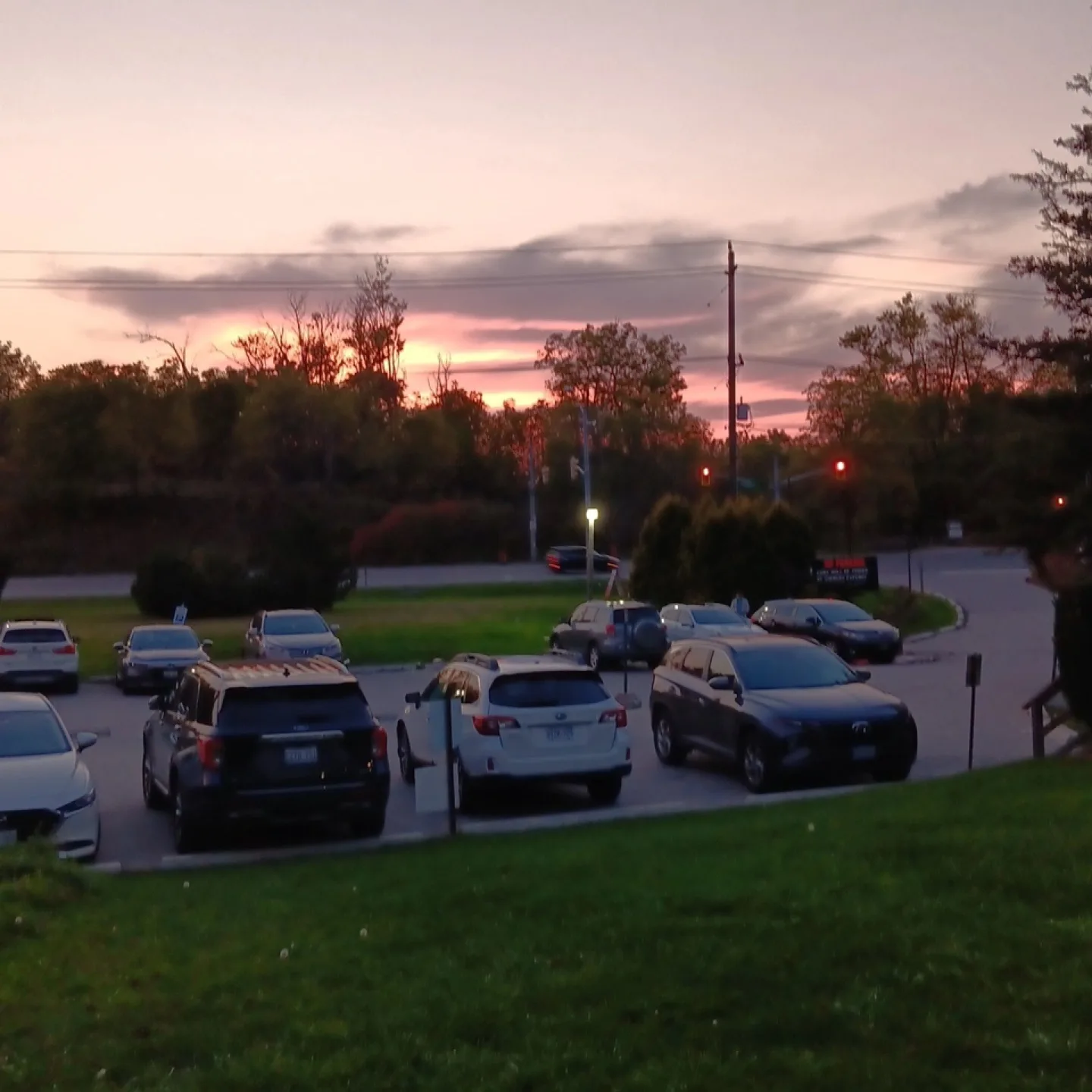 Olga Michaelov profile