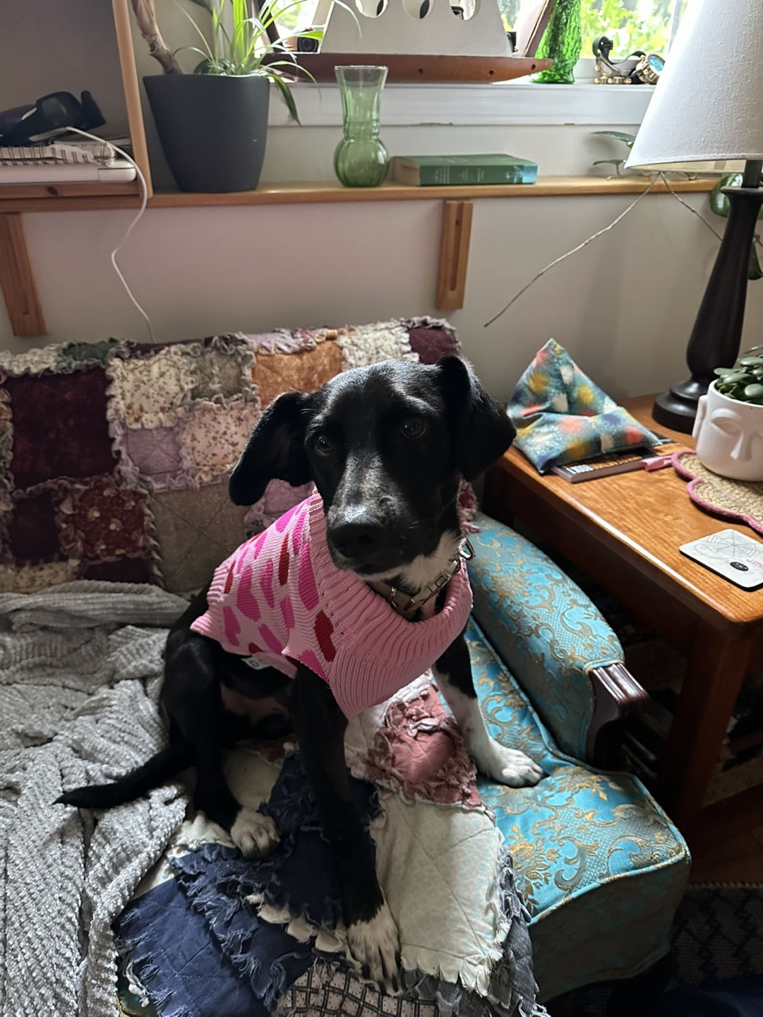 Danielle Chen profile