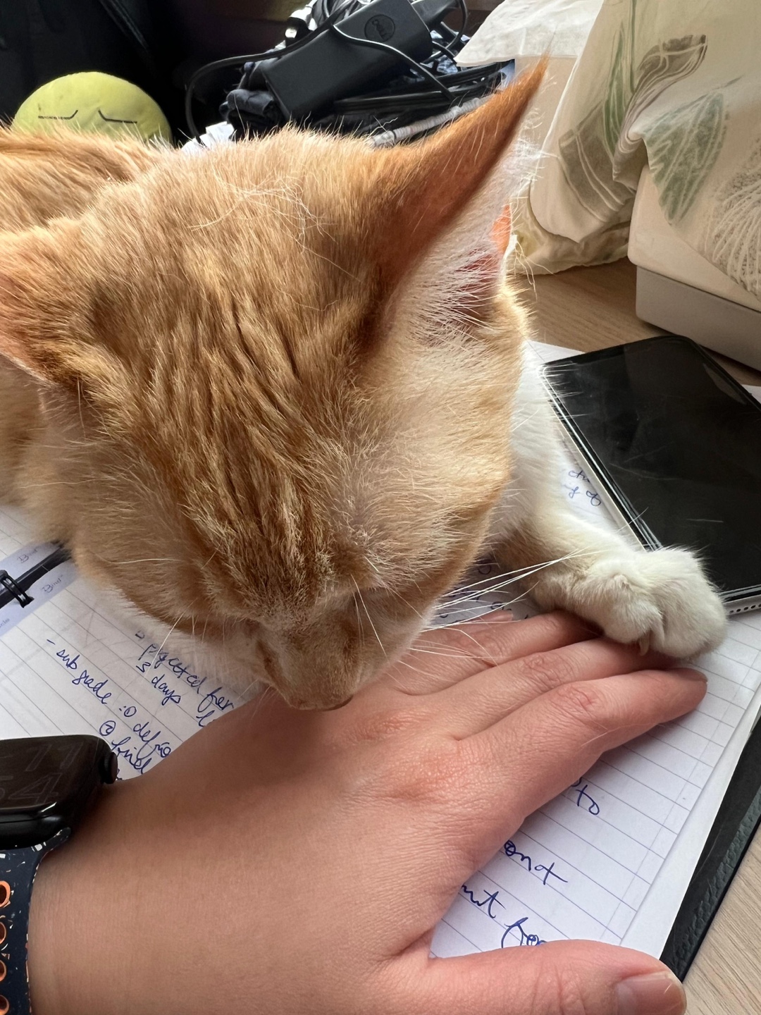 Hoori And Mo profile