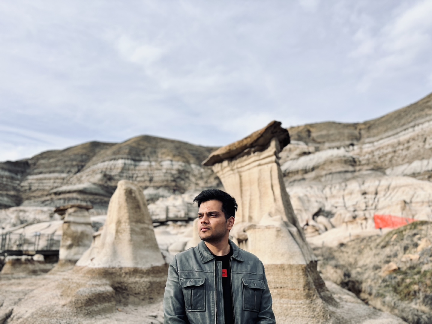 Anshuman profile
