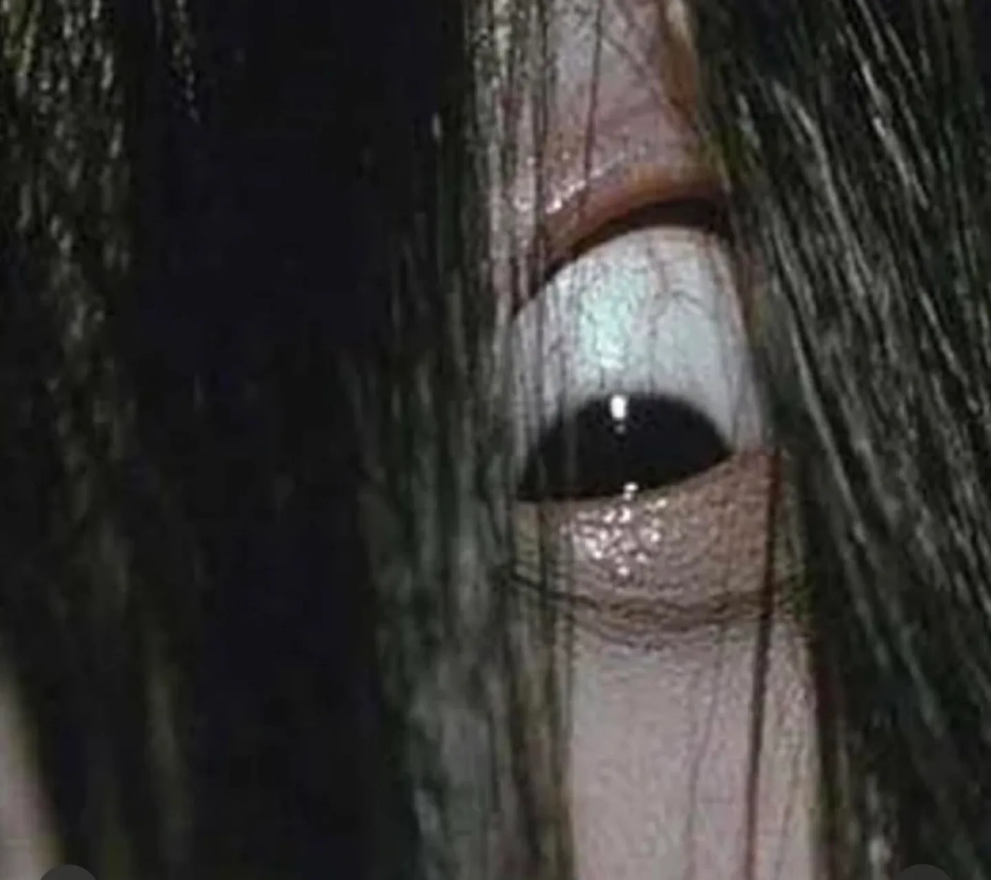 Temporary name71 profile