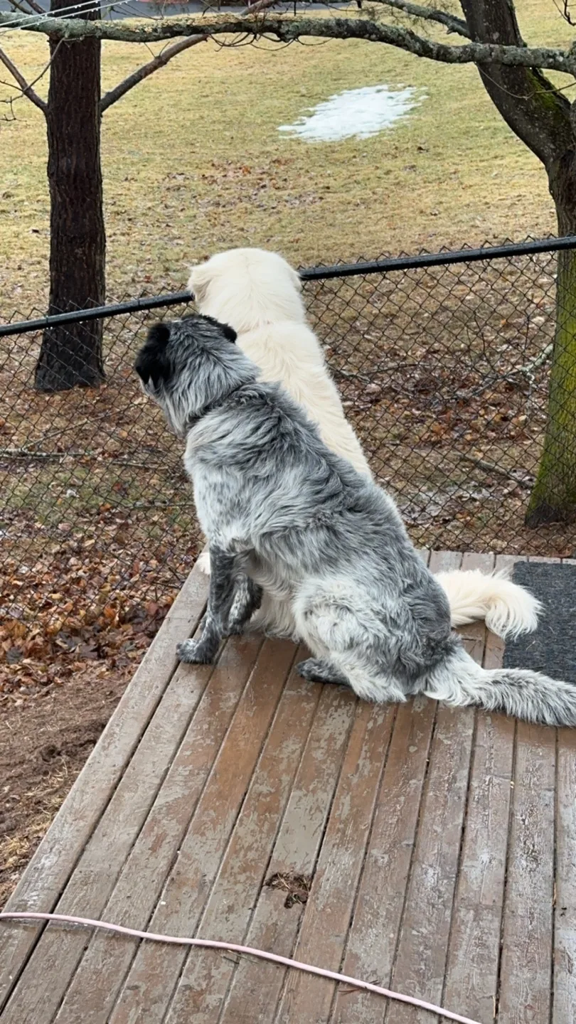 Madison Duffy profile