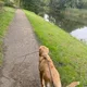 Bridget profile