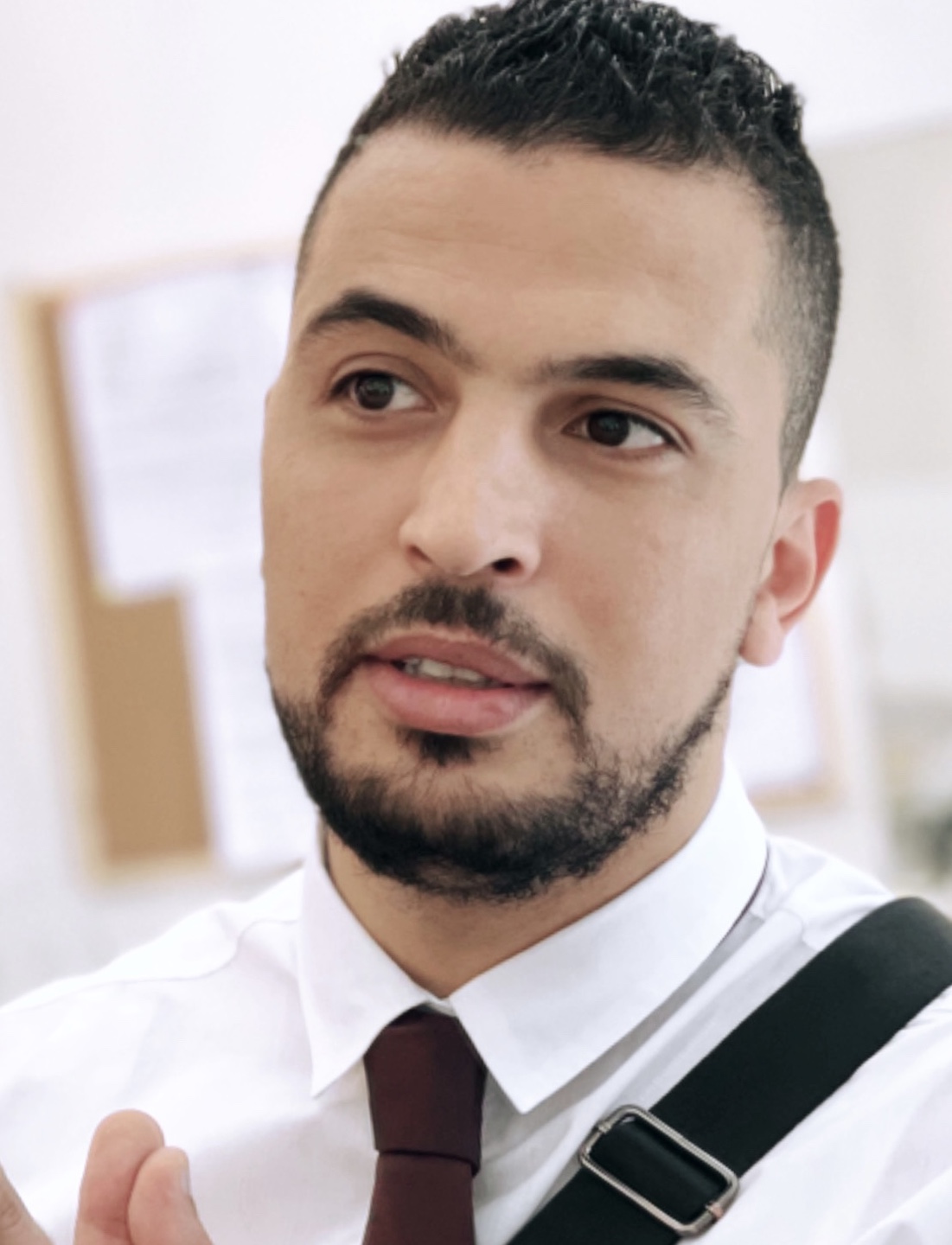 Ashour profile
